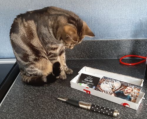 Customer photo review of Military Sgian Dubh