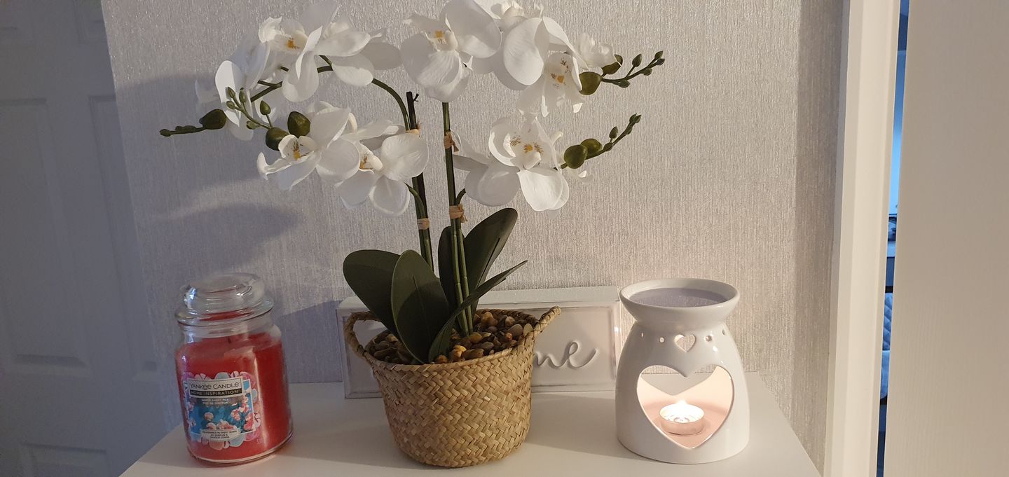 Customer photo review of Peony & Blush Suede
