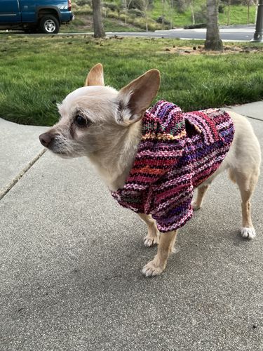 Customer photo review of Playa Poncho