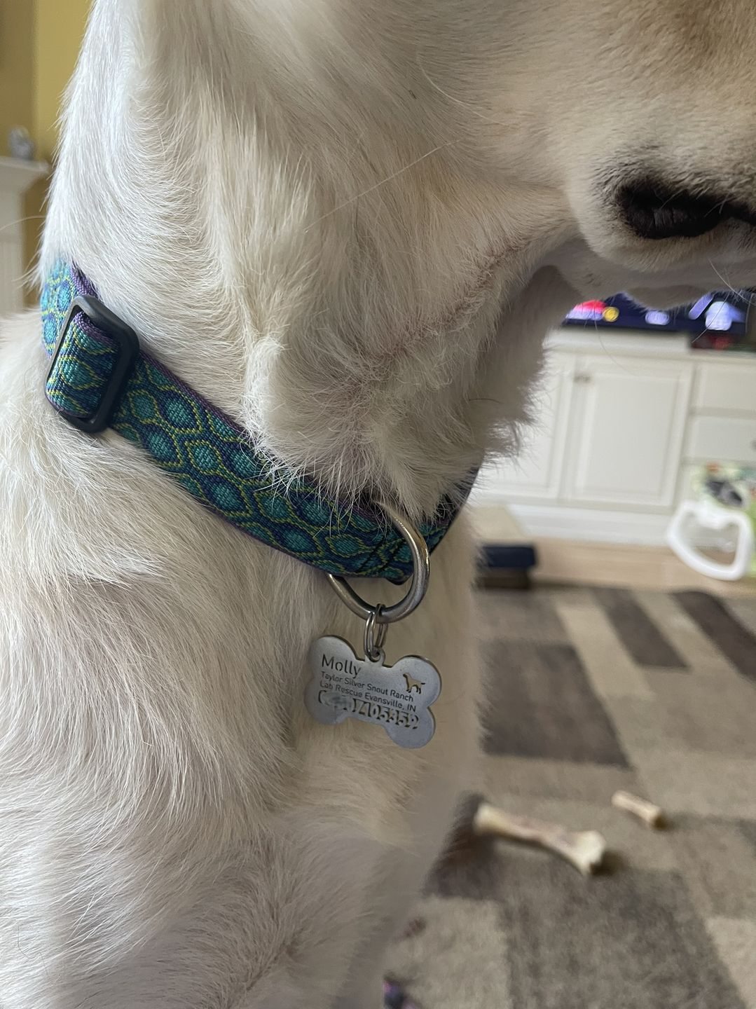 Customer photo review of Hollow-carved ID Tags