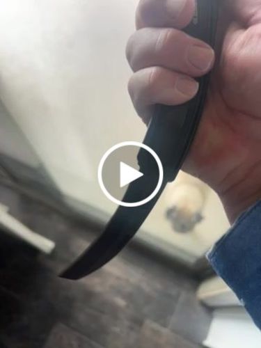 Customer video review of DEMON