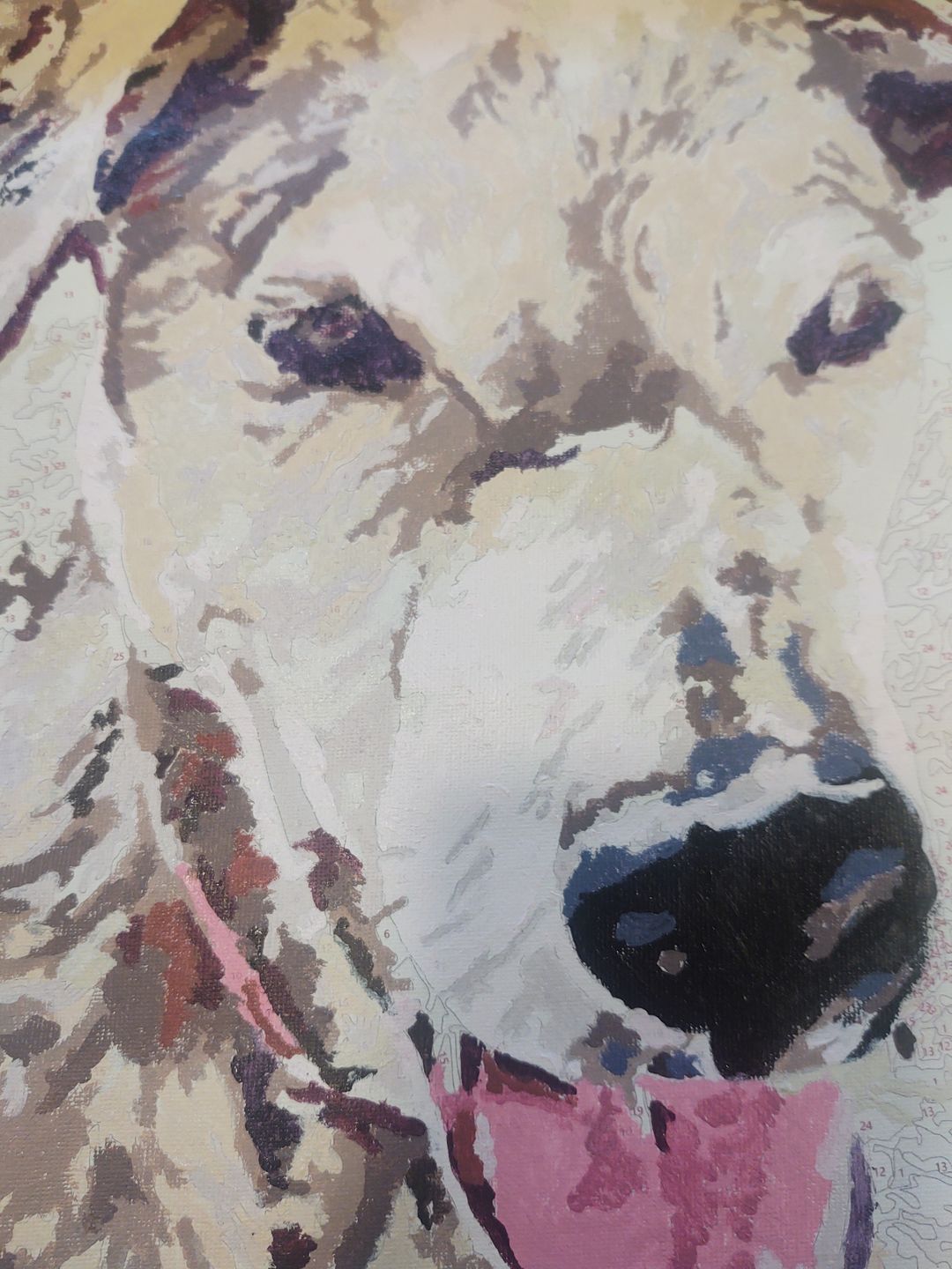 Customer photo review of Personalized Paint By Number Kits - Upload Any Photo