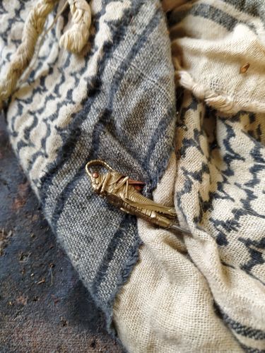 Customer photo review of Grasshopper Pin
