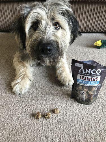 Customer photo review of Anco Trainers 70g