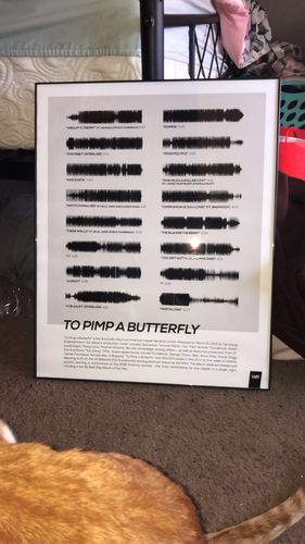 Customer photo review of "To Pimp a Butterfly"