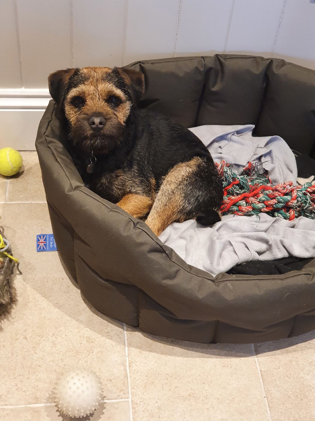 Customer photo review of Country Dog Heavy Duty Oval Waterproof Bed