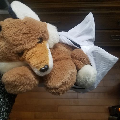 Customer photo review of J.B.Field's Mesh Laundry Bag - ONE PER ORDER