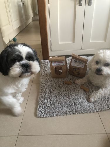 Customer photo review of Pooch's Handmade Dog Treats
