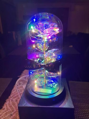 Customer photo review of Galaxy Enchanted Rose Dome