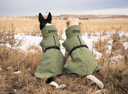 Customer photo review of Visibility Winter Jacket Green for Dogs