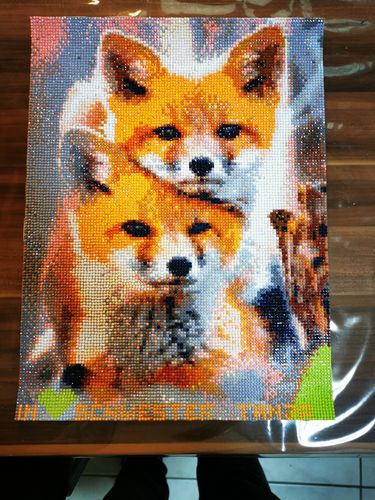 Customer photo review of 5D Diamond Painting Zwei süße Füchse