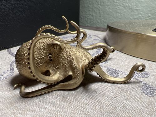 Customer photo review of Octopus Phone Holder | Bronze