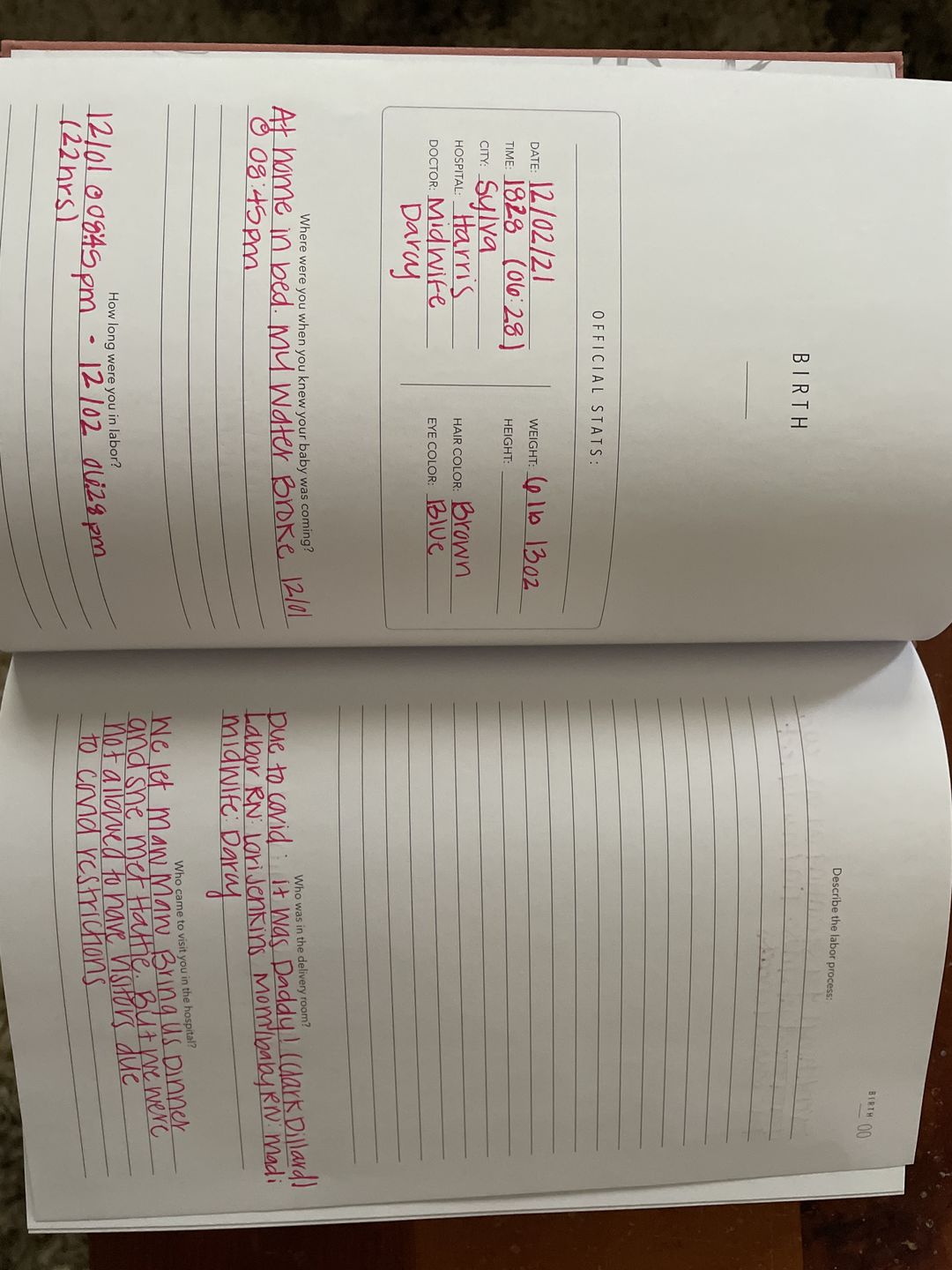 Customer photo review of Childhood History - Dusty Rose