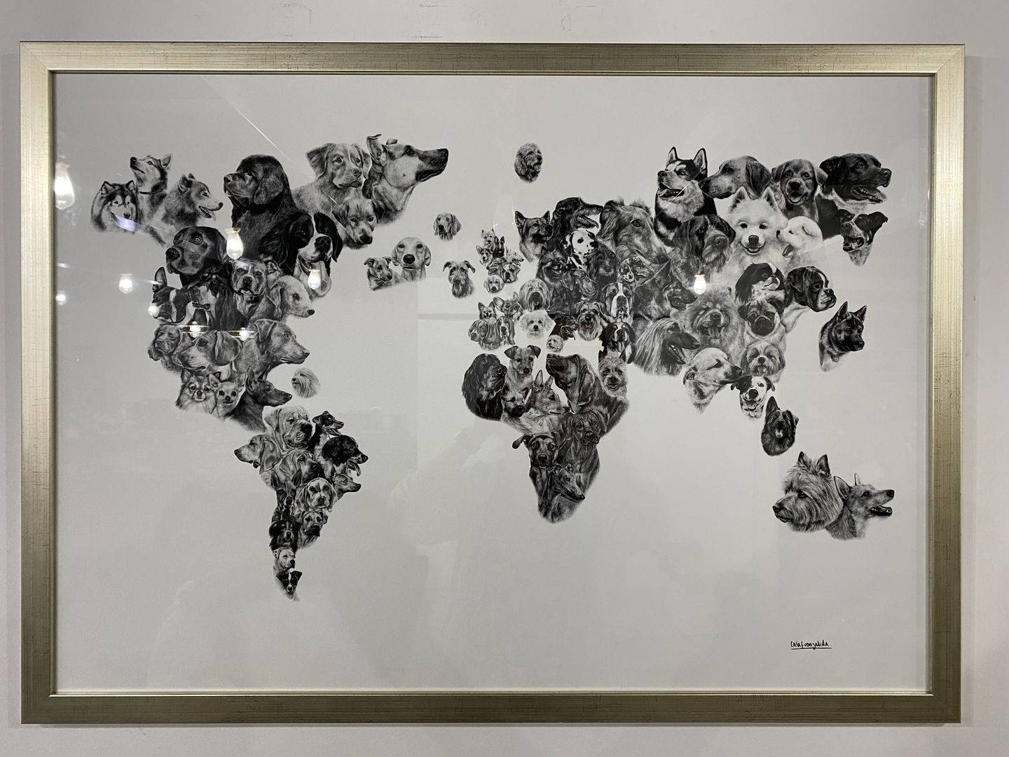 Customer photo review of Mapa de Perros del Mundo - Lámina