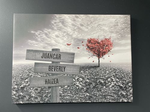 Customer photo review of Lienzo Árbol Corazón con Nombres Personalizados