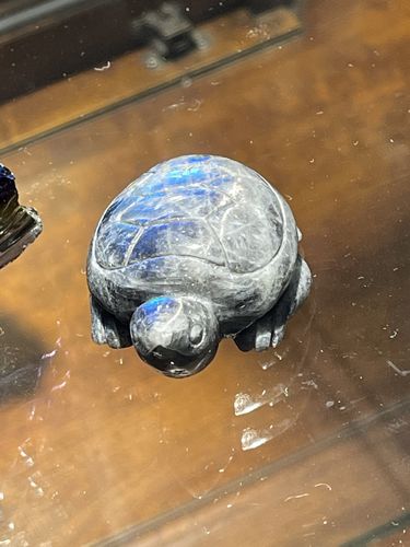 Customer photo review of Flashy Labradorite Turtle