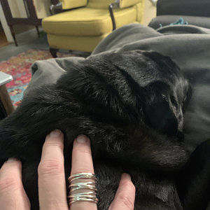 Customer photo review of Chunky Wrap Wide Band Ring Sterling Silver