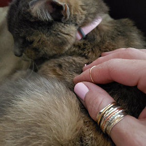 Customer photo review of Two Tone Meditation Spinner Ring Sterling Silver