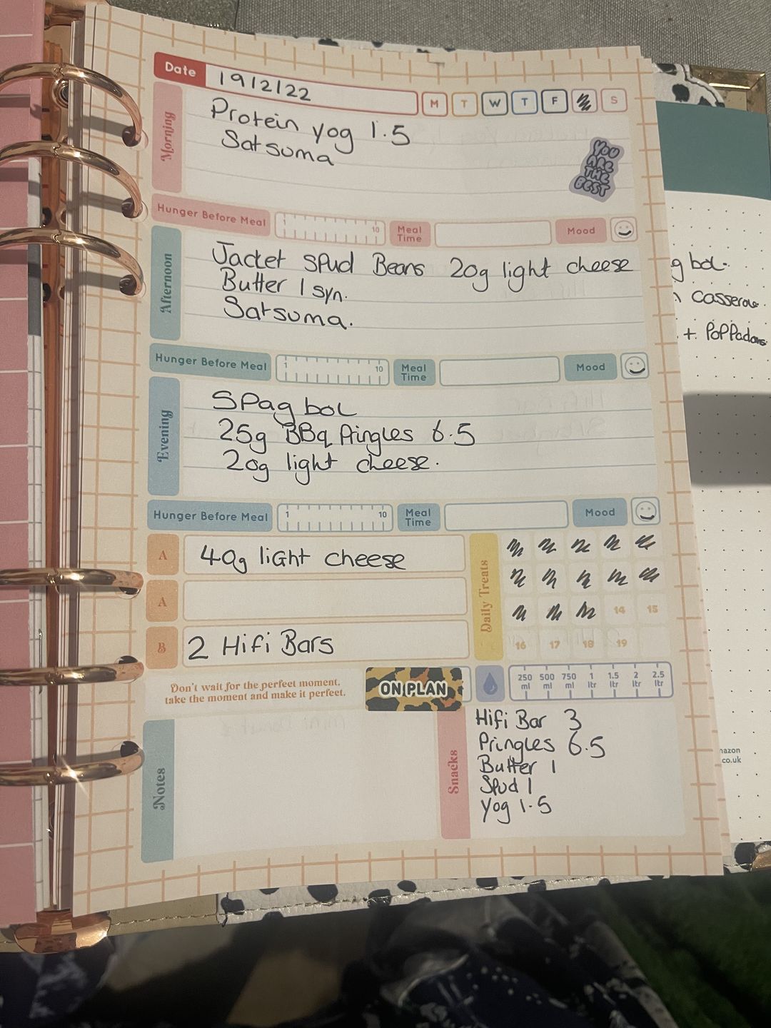 Customer photo review of Slimming World - Spacious - Organiser Refill