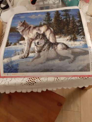 Customer photo review of De Wolven Familie