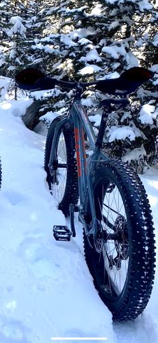 Customer photo review of Minnesota LTD Fat Bike 27.5"