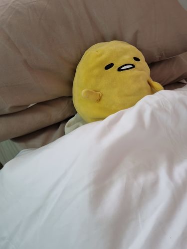 Customer photo review of TWO-TONED BEDDING SETS