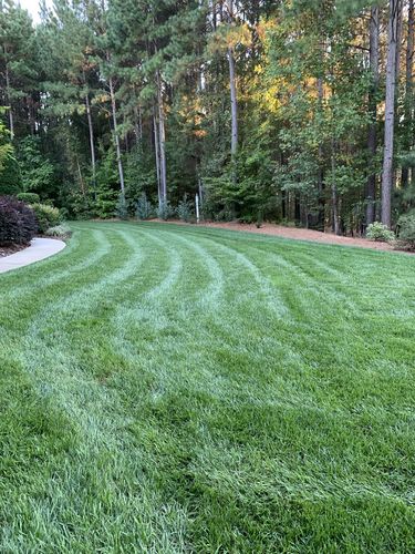 Customer photo review of Protene Performance Spring Fertilizer