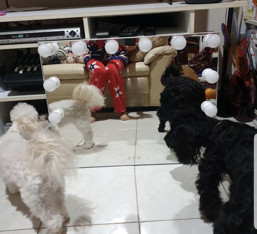 Customer photo review of Hollywood Mirror Large "Angel"