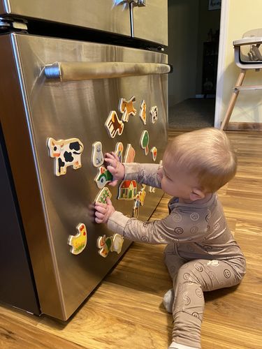 Customer photo review of Wooden Magnets - Farm