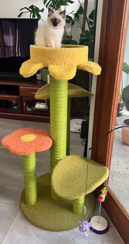 Customer photo review of ZEZE Sisal Scratching Posts with Flower and Leaf Platform