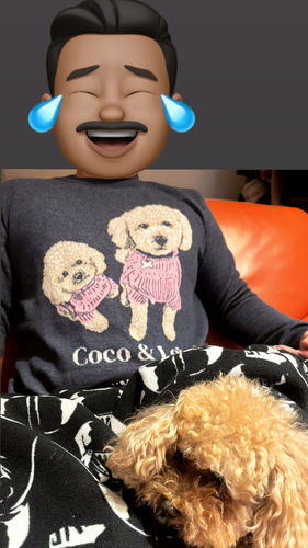 Customer photo review of Full-Body Pet Custom Sweater
