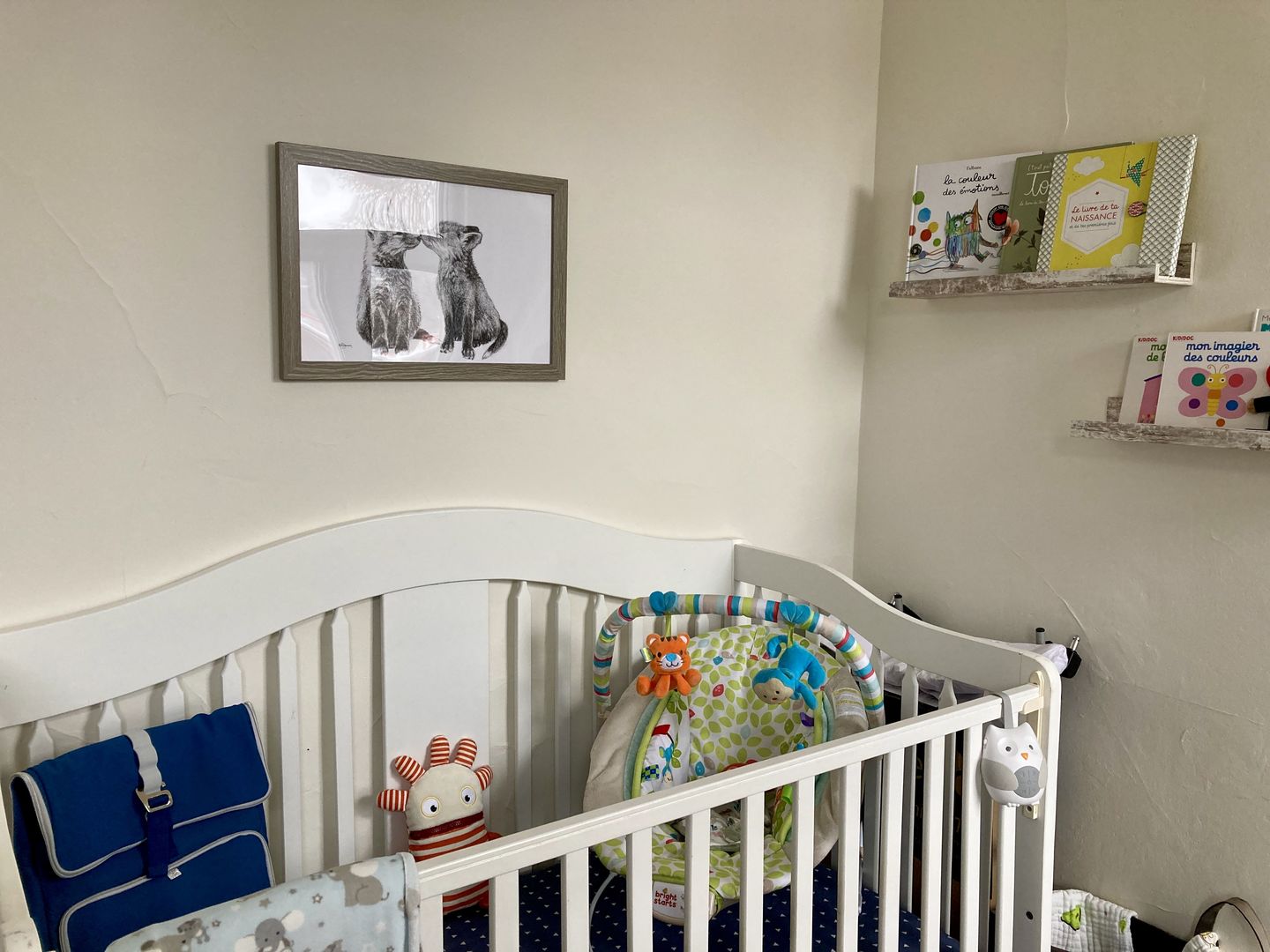 Customer photo review of Adorable Baby Foxes