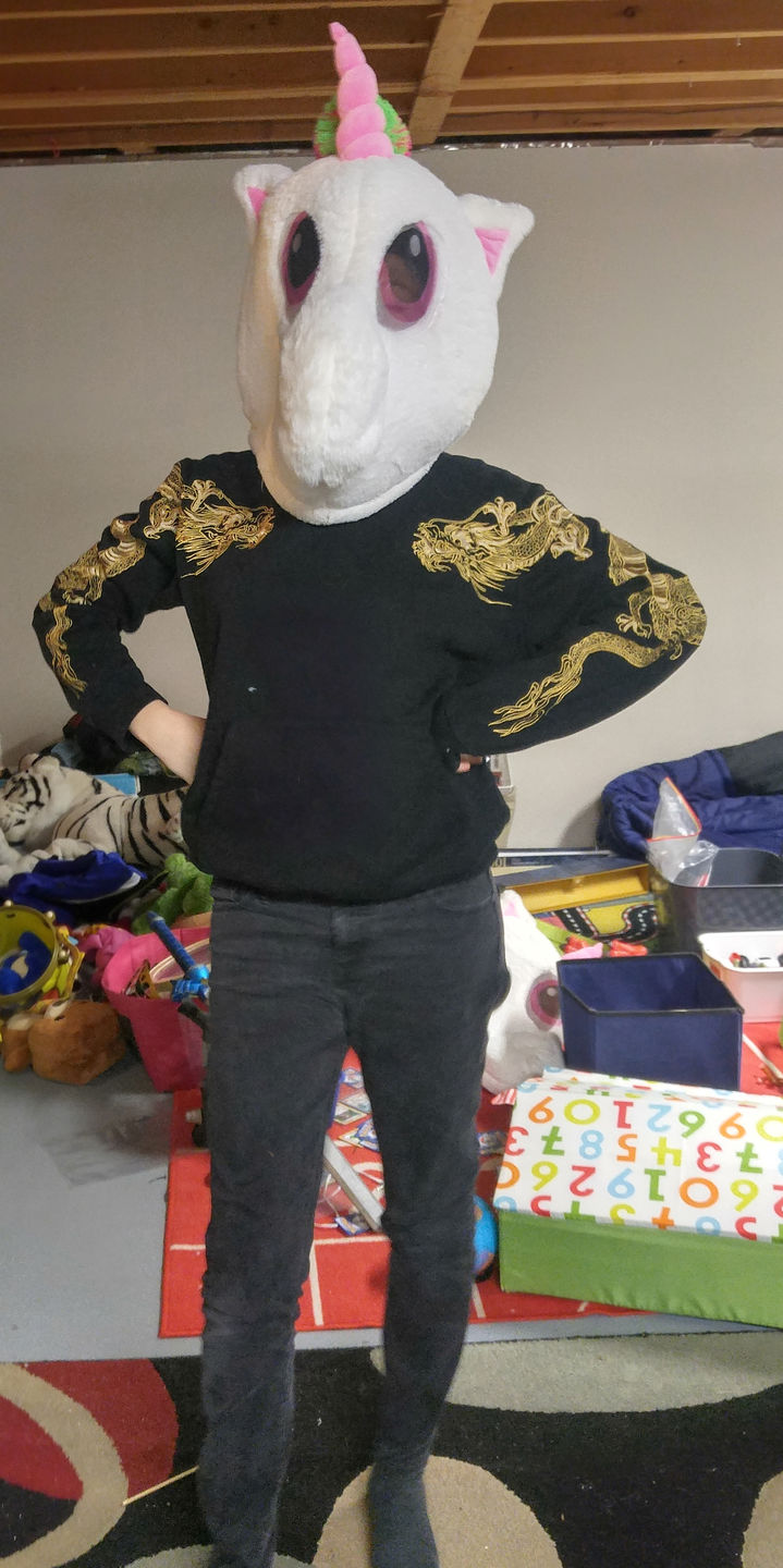 Customer photo review of Double Flying Dragons Embroidery Hoodie