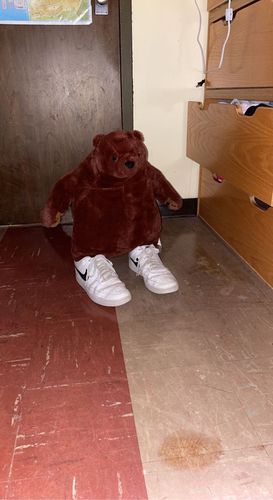 Customer photo review of SKOGGY BEAR