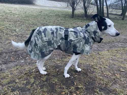 Customer photo review of Recovery Raincoat Camo for Dogs