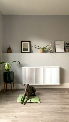 Customer photo review of Playmat - Leaf