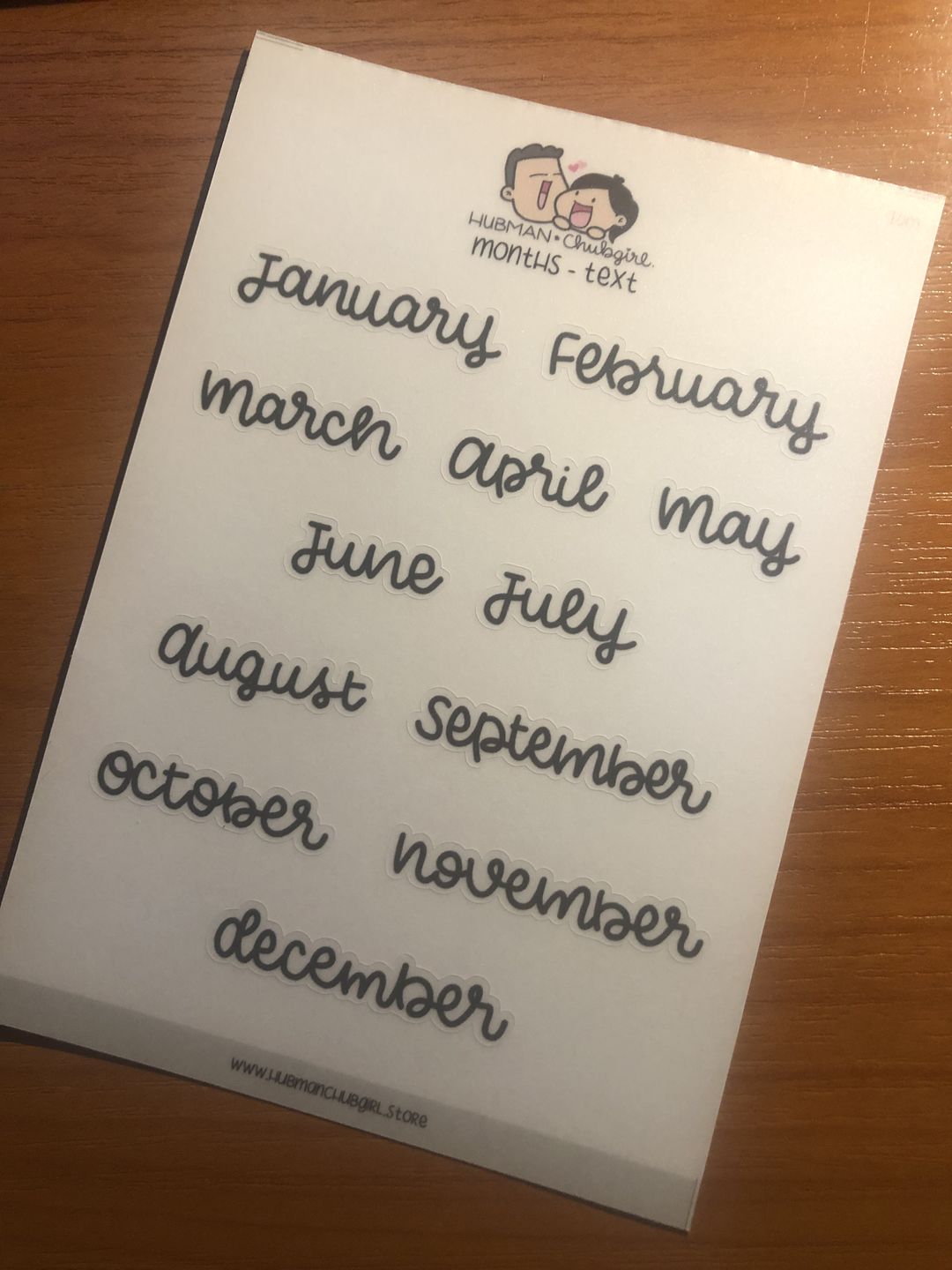 Customer photo review of Months Text Planner Stickers