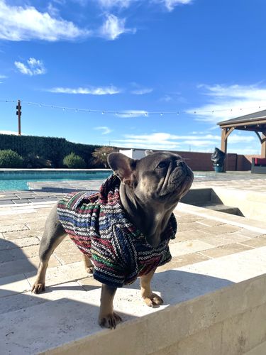 Customer photo review of Playa Poncho