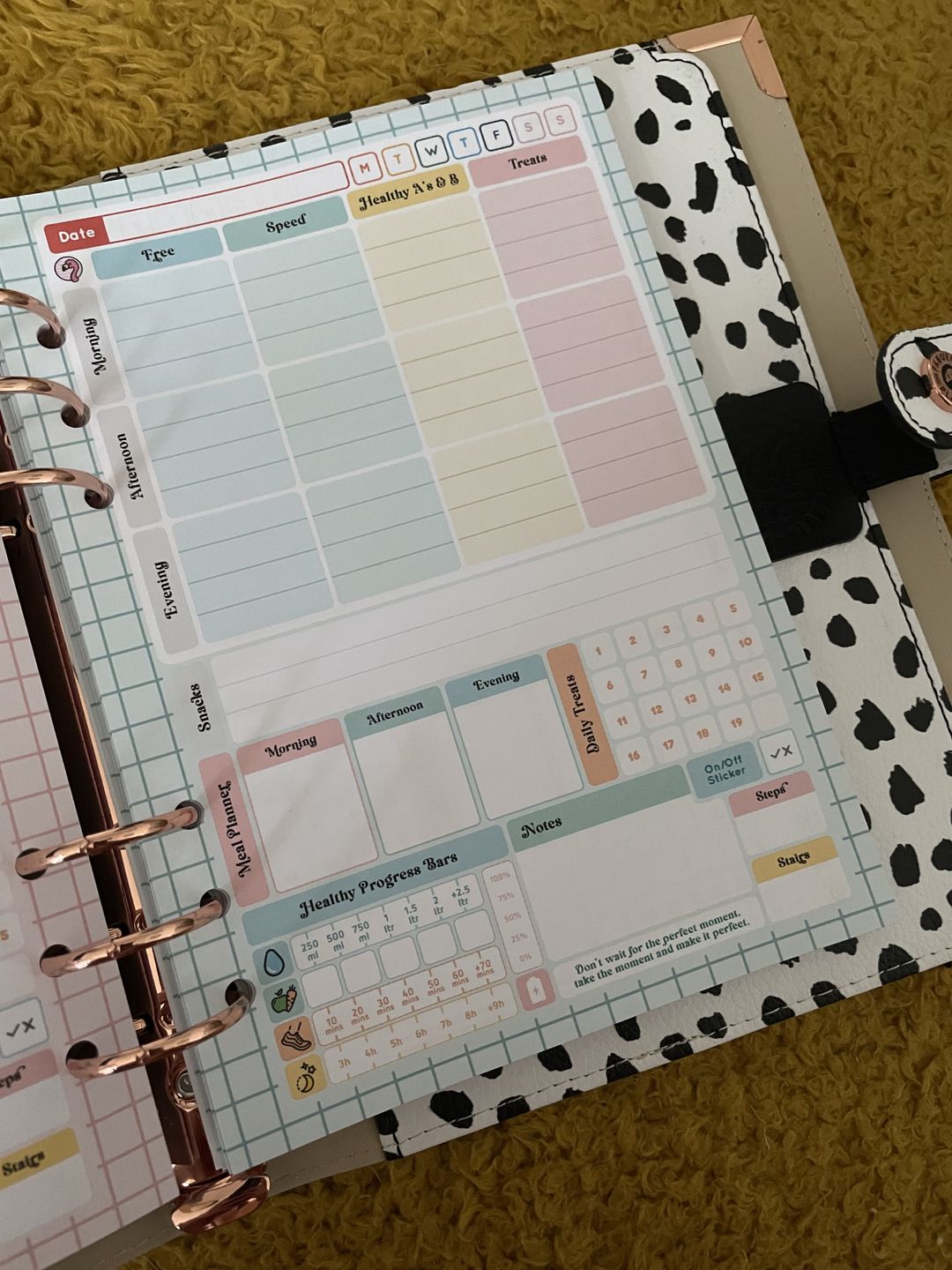 Customer photo review of Slimming World - Compact - Organiser Refill