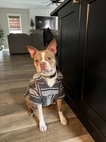 Customer photo review of Playa Poncho