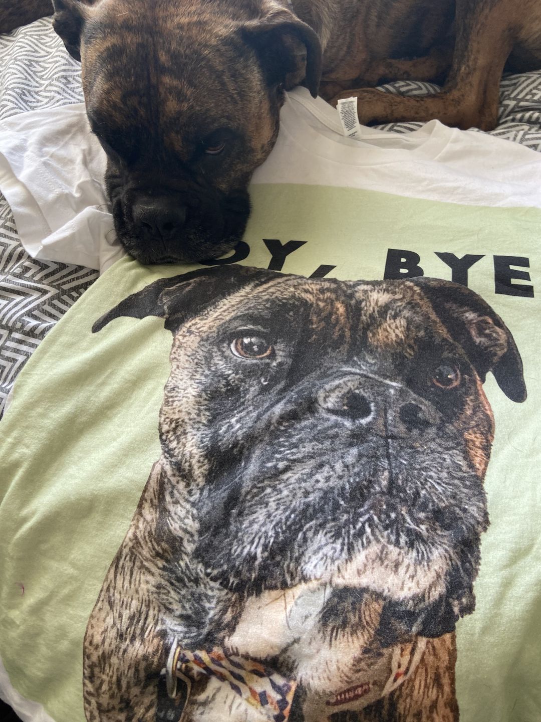 Customer photo review of Custom Pet Art Mens Crew Neck T-shirt