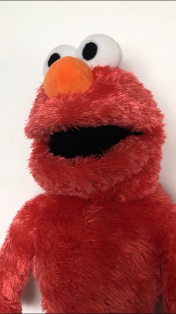Customer photo review of Elmo Marionnette Sesame Street