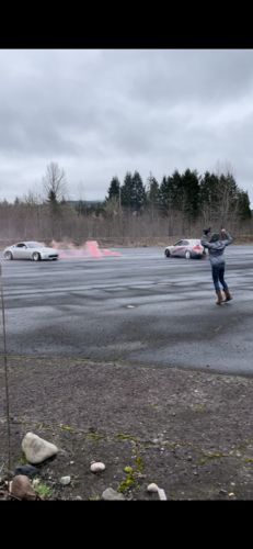 Customer photo review of Gender Reveal Smoke Bombs (Discreet Label)