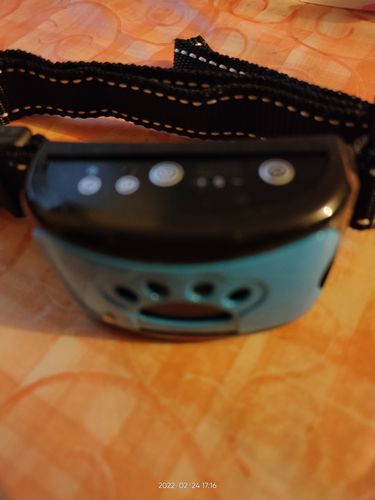 Customer photo review of Collier Anti Aboiement PuppySafe
