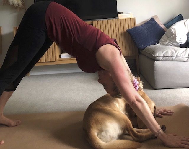 Customer photo review of Premium Yoga Mat