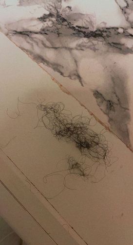 Customer photo review of Cacao en poudre pour cheveux 1 mois