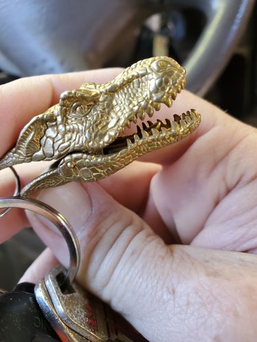 Customer photo review of Brass T-REX Clip