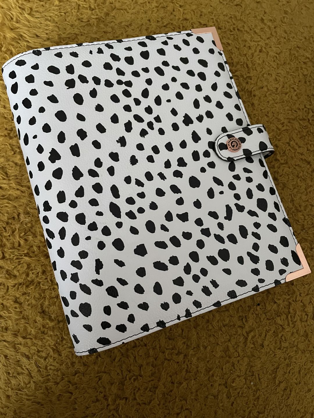 Customer photo review of Dalmatian Organiser Shell