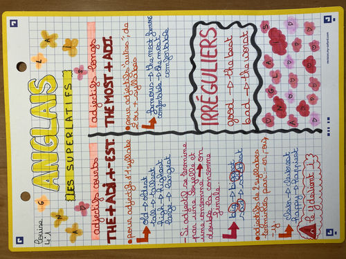 Avis photo d'un client sur Fiches de révision REVISION 2.0 OXFORD # 50 fiches 14,8 x 21 cm - petits carreaux
