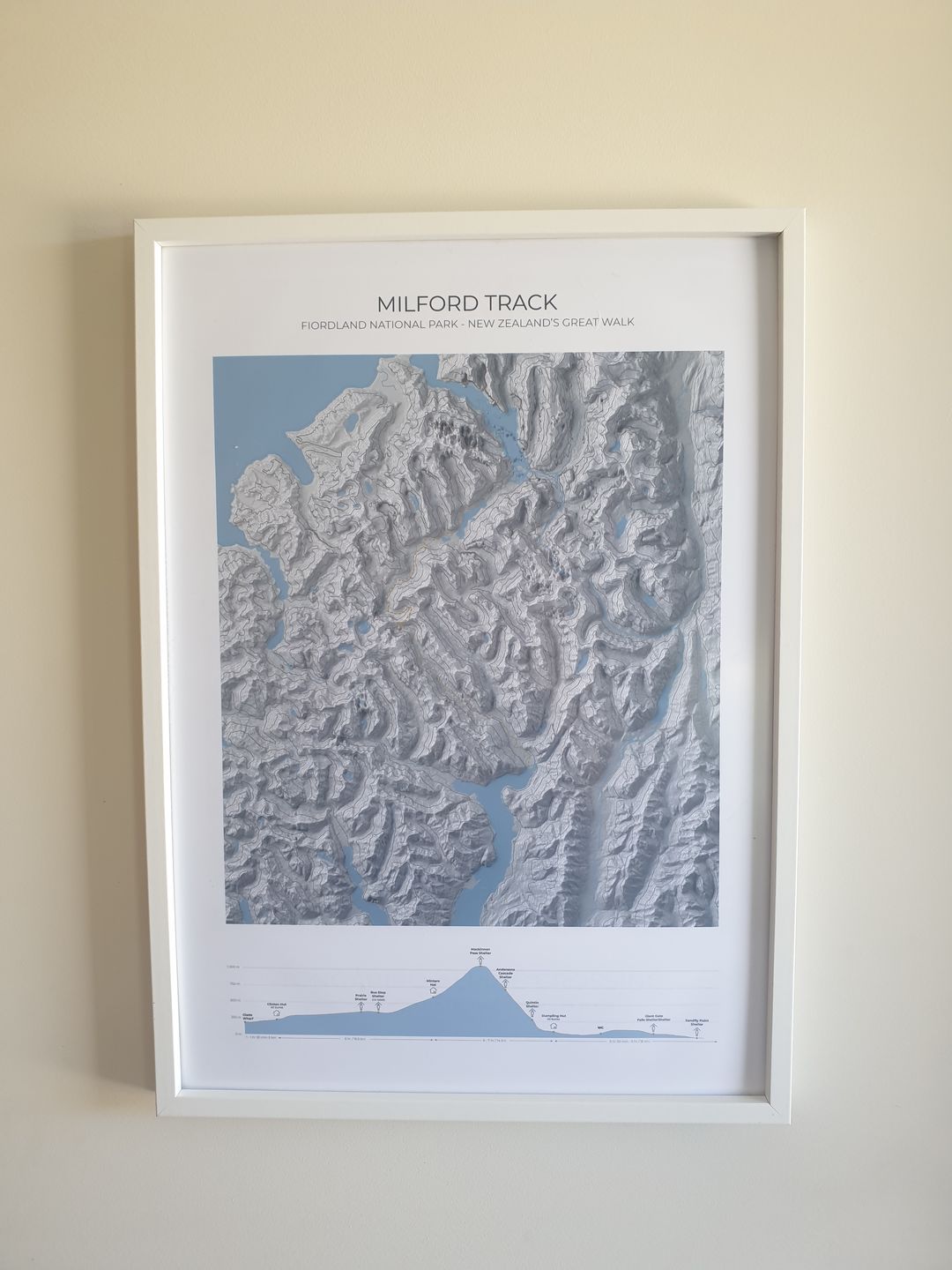Customer photo review of Milford Track Poster